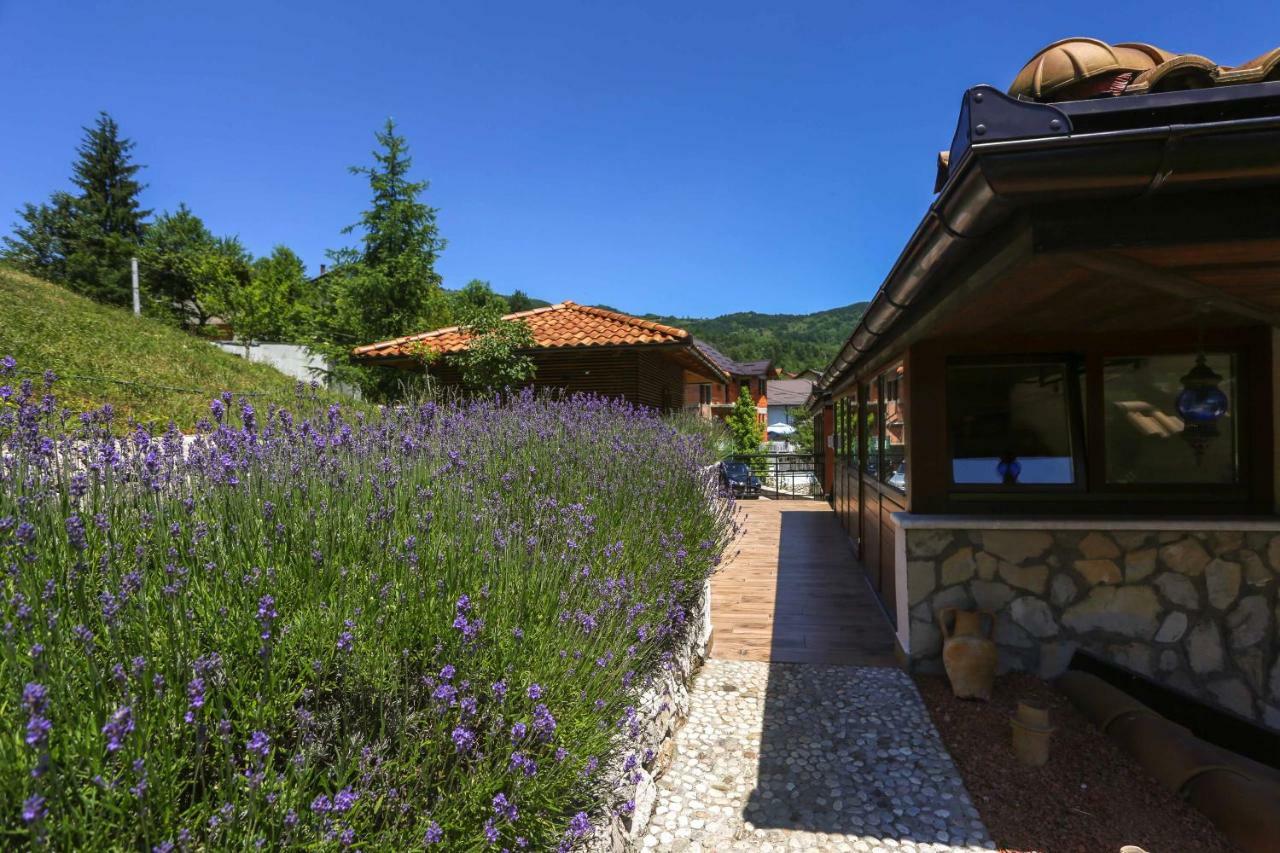 Lavanda